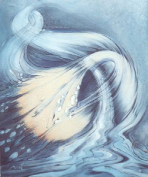 De l'eau , de l'aire, la vie...